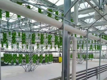 玻璃生態餐廳