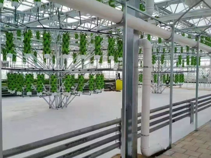 薄膜溫室栽培